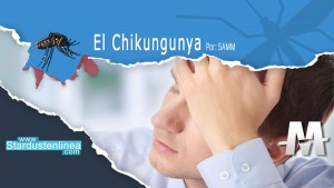 Lee más sobre el artículo Que es el Chikungunya y cómo  prevenirlo
