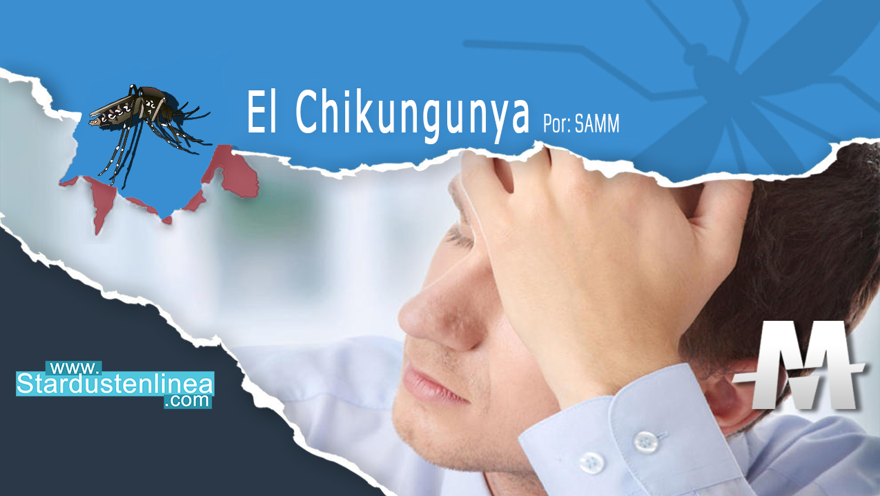 En este momento estás viendo Que es el Chikungunya y cómo  prevenirlo